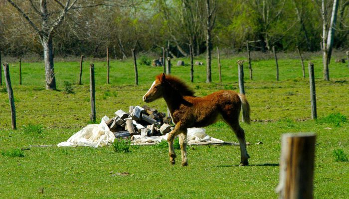 club_conce_23-ambiente