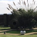 Y TÚ. Dra. Andrea Reyes Guíñez