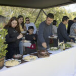 APB_8645 copia